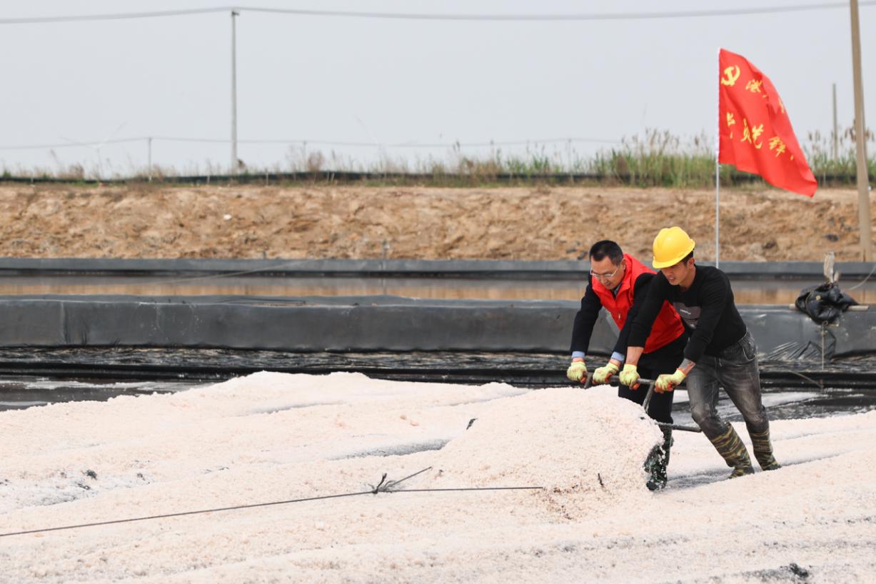 港產(chǎn)黨支部開(kāi)展&ldquo;鹽話(huà)初心 行擔(dān)使命&rdquo;2.jpg